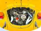 1979 VOLKSWAGEN Beetle
