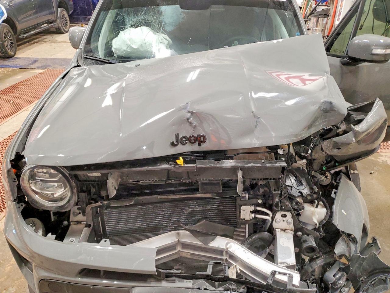 2019 JEEP Renegade