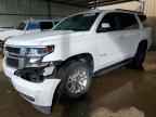 2019 CHEVROLET Tahoe