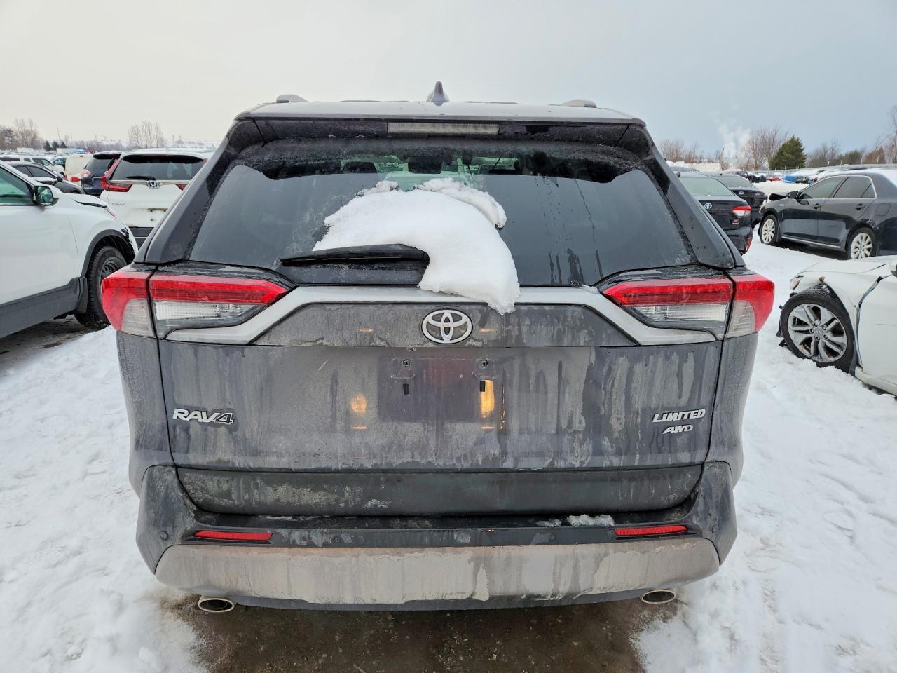 2019 TOYOTA RAV4