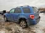 2010 FORD ESCAPE
