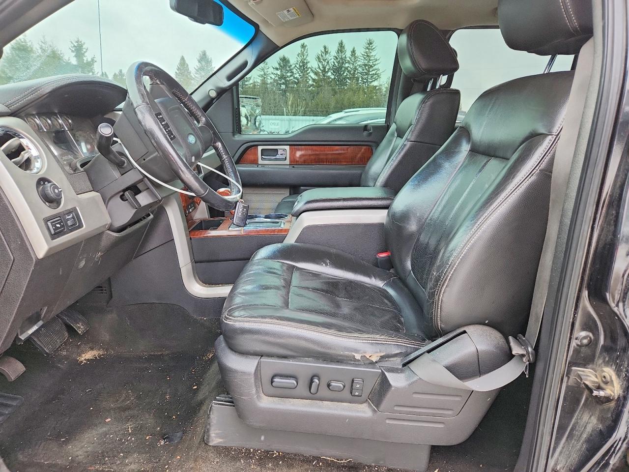 2010 FORD F-150 Lightning