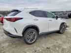 2023 LEXUS NX 350