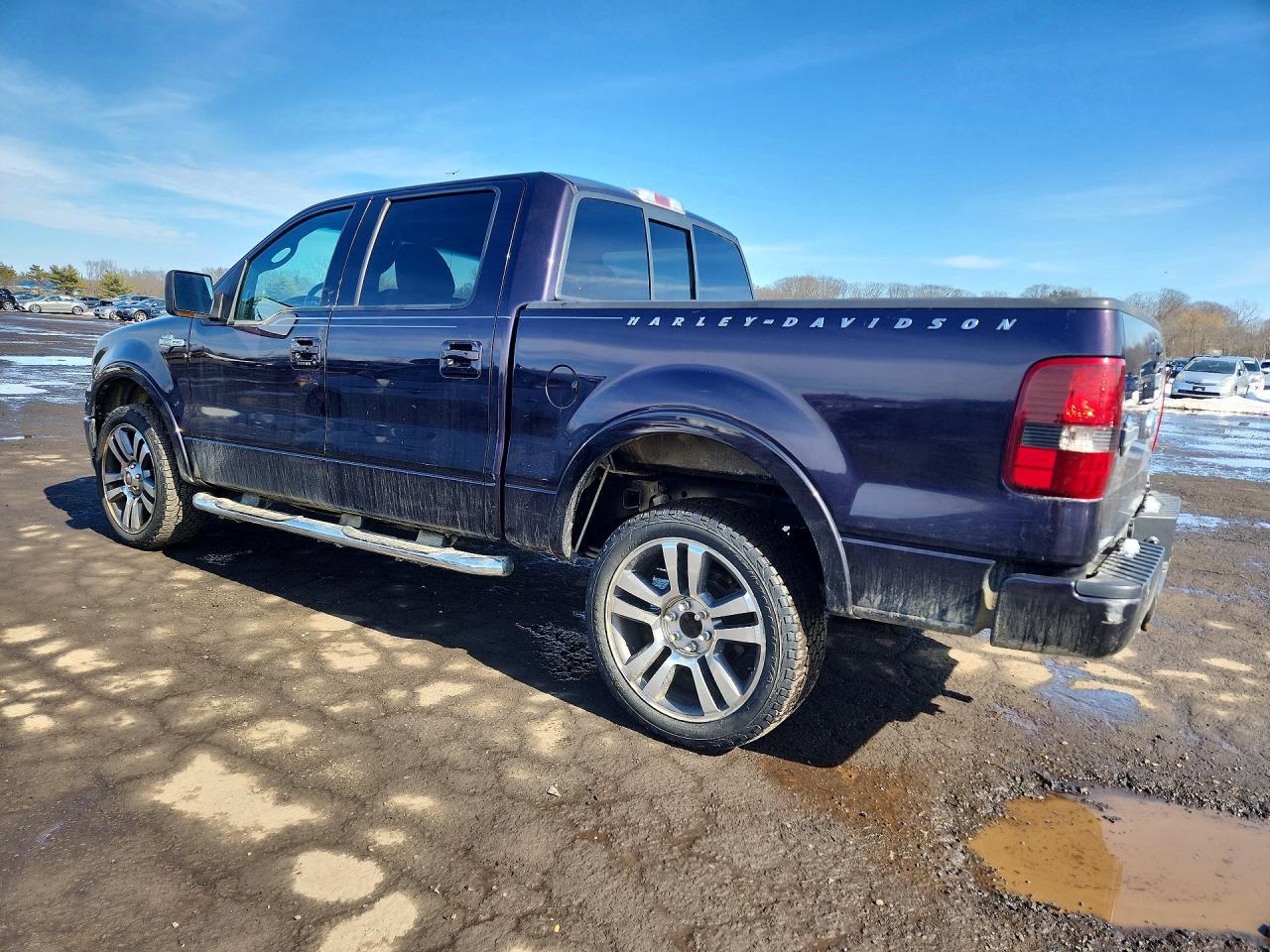 2007 FORD F-150