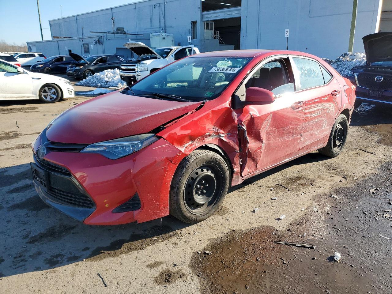 2019 TOYOTA COROLLA