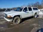 2004 DODGE Dakota