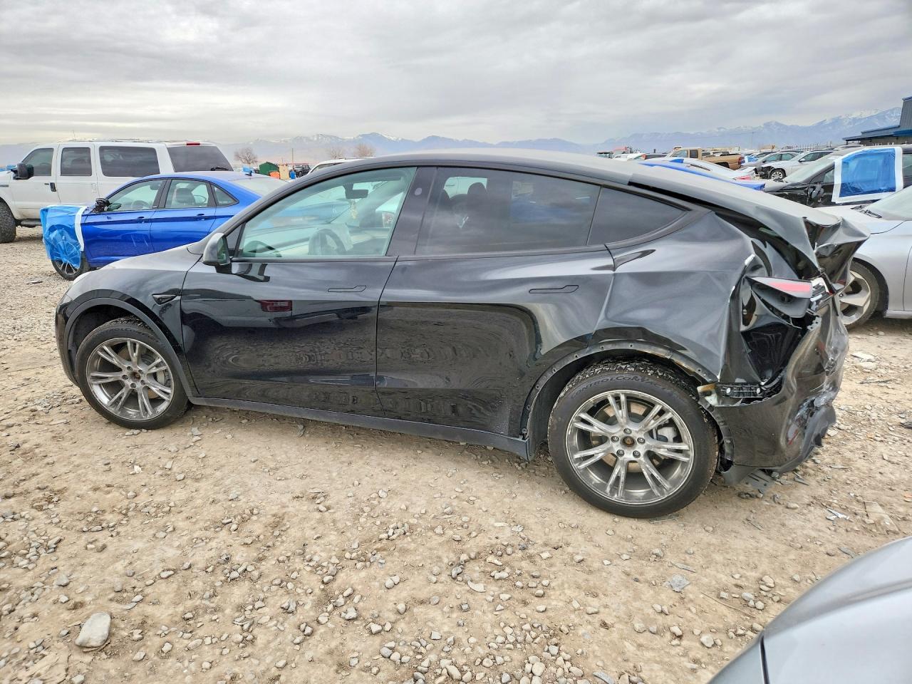2024 TESLA MODEL Y