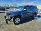 2006 TOYOTA 4Runner