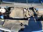2024 KIA Carnival