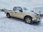 2002 TOYOTA TACOMA