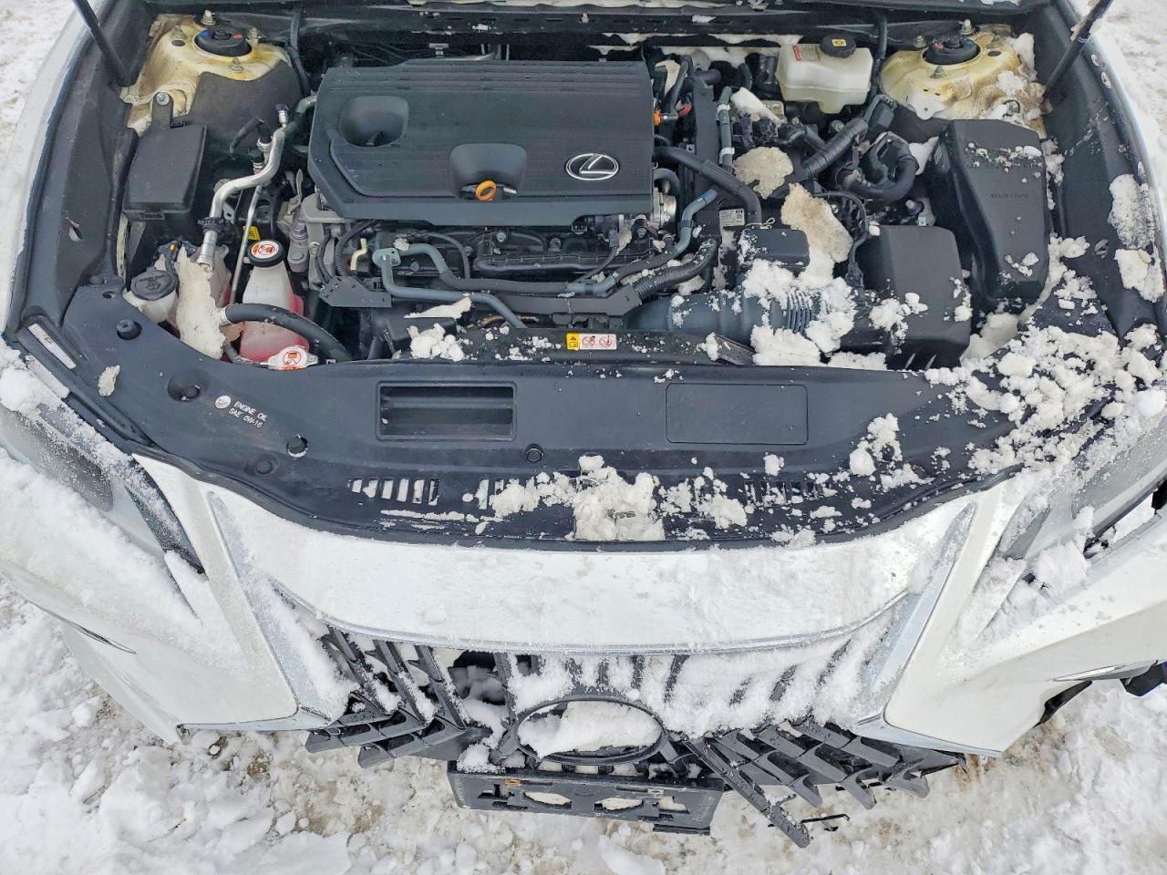 2024 LEXUS ES 300H