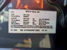 2021 TESLA MODEL Y