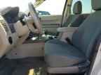 2009 FORD ESCAPE