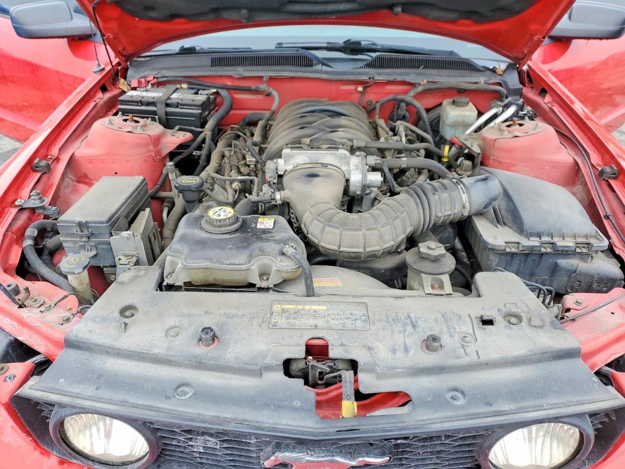 2005 FORD MUSTANG
