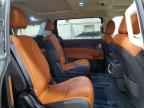 2025 KIA Carnival