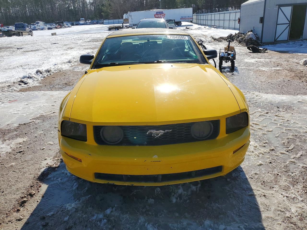 2005 FORD MUSTANG