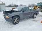 2003 DODGE Dakota