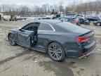 2019 AUDI S5