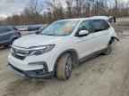 2020 HONDA PILOT