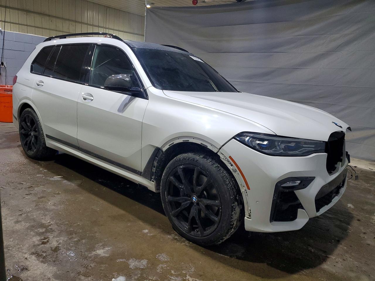 2019 BMW X7
