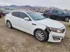 2014 KIA OPTIMA