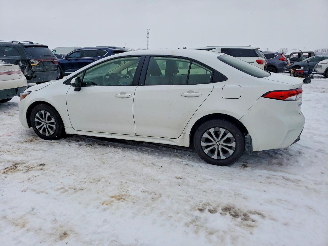 2023 TOYOTA COROLLA
