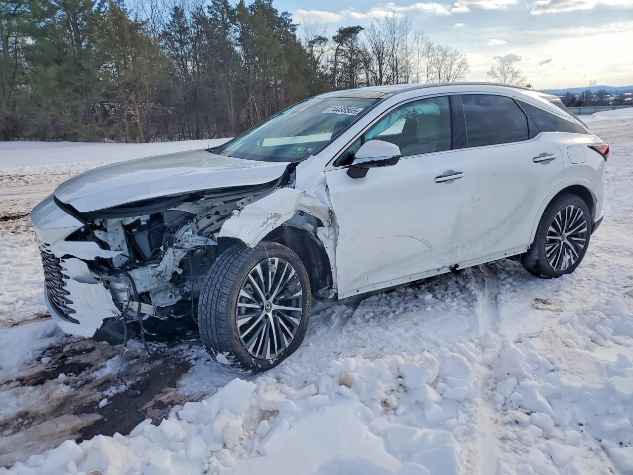 2025 LEXUS RX 350