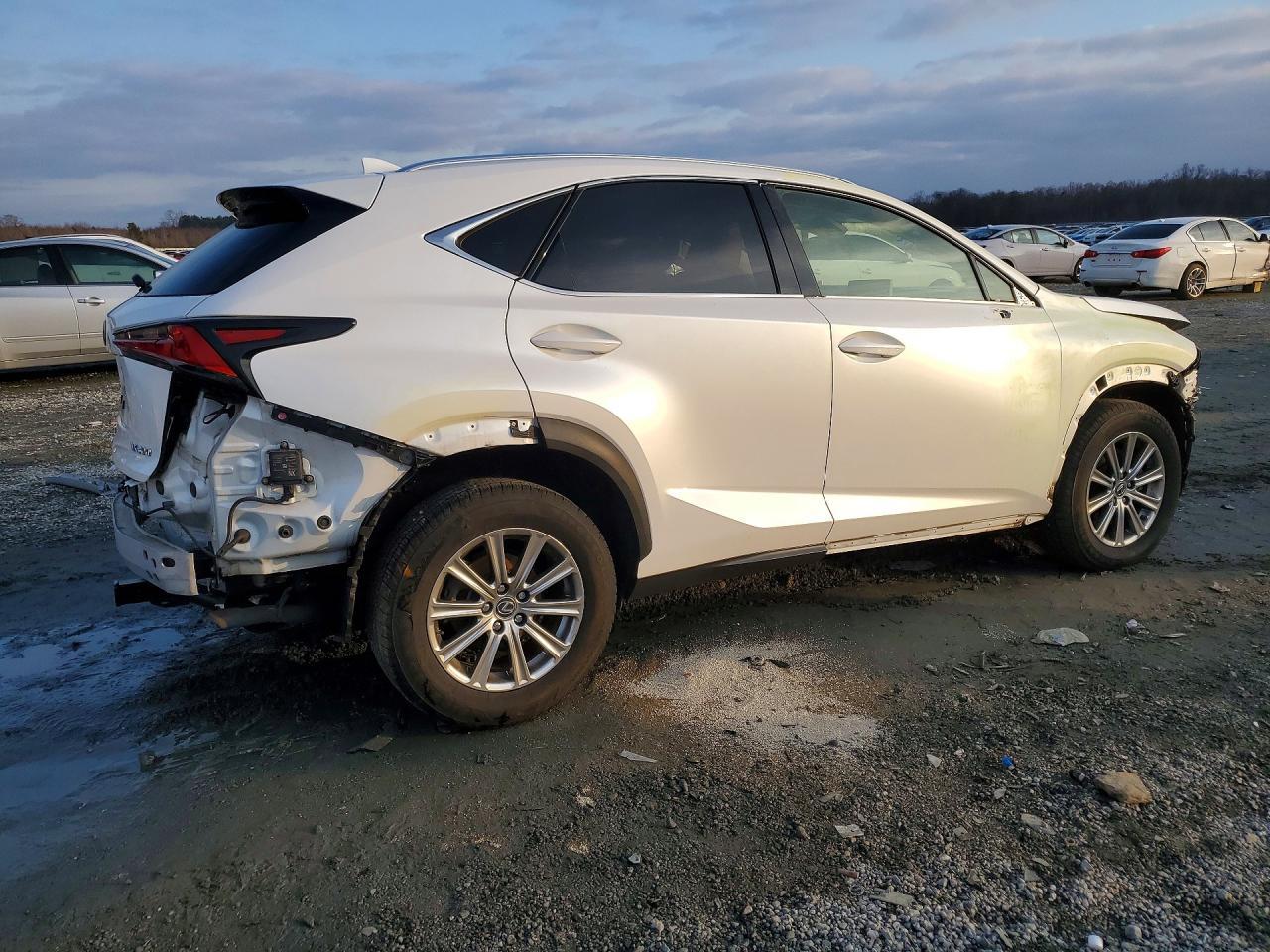 2019 LEXUS NX 300
