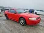 1999 FORD MUSTANG