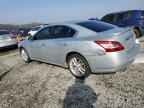 2009 NISSAN Maxima