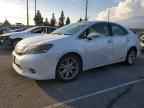 2010 LEXUS HS 250h