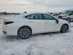 2024 LEXUS ES 300H