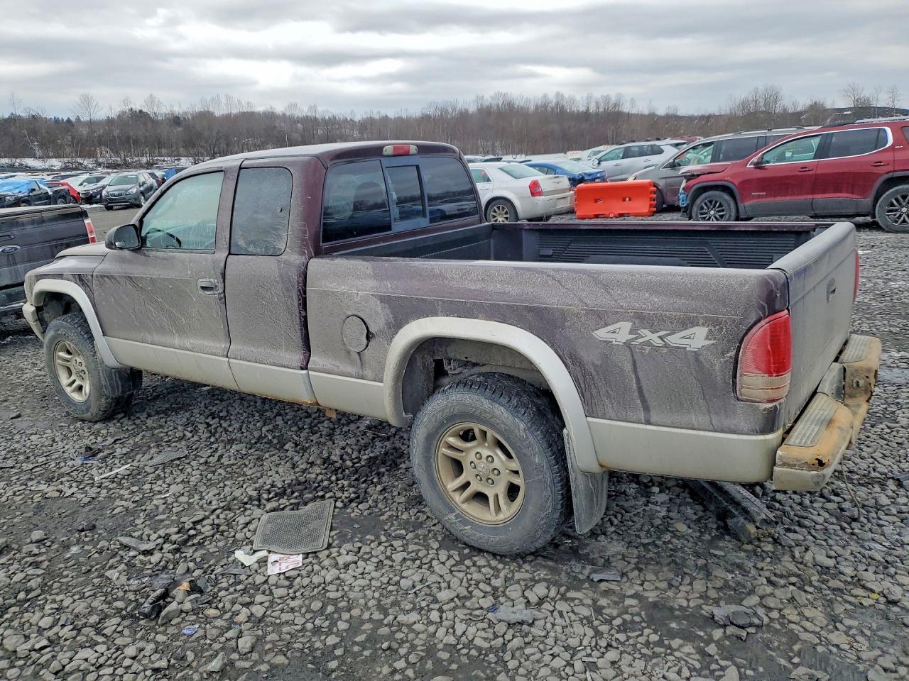 2004 DODGE Dakota
