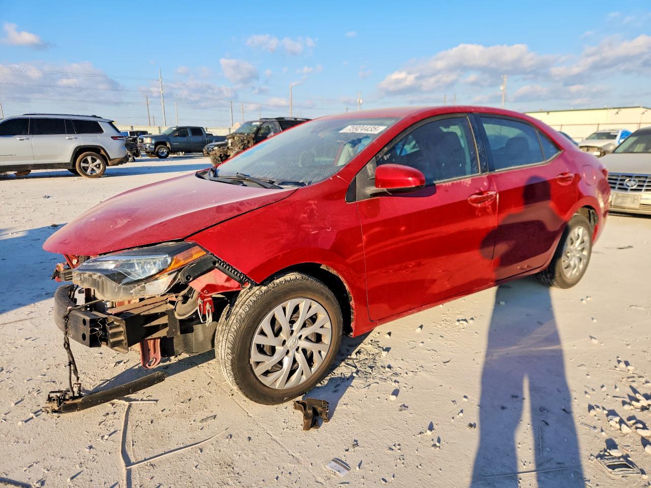 2019 TOYOTA COROLLA