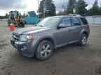 2010 FORD ESCAPE