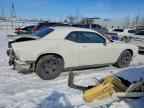2010 DODGE Challenger
