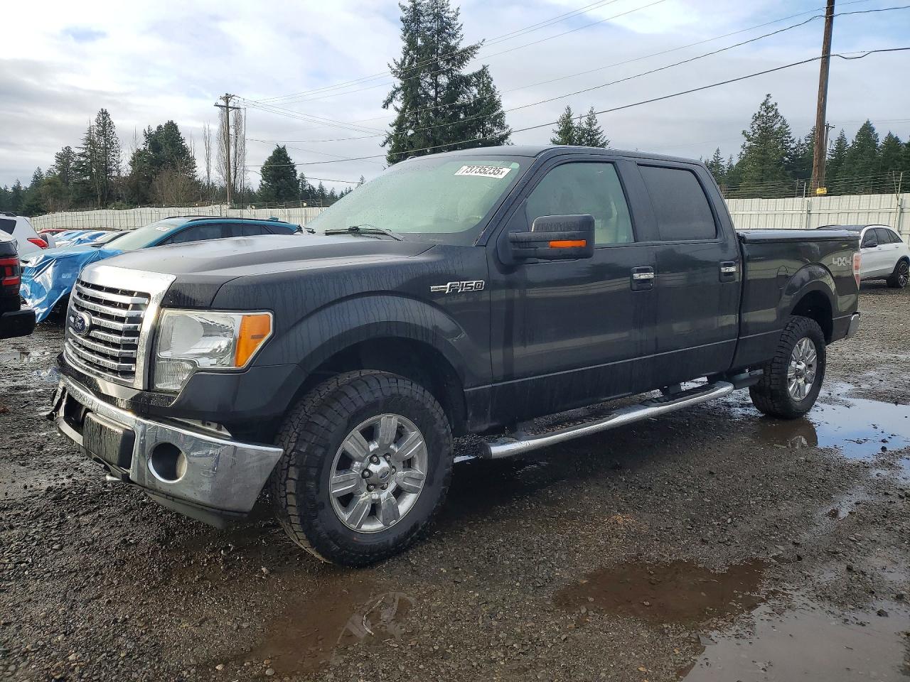 2010 FORD F-150