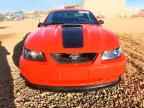2004 FORD MUSTANG