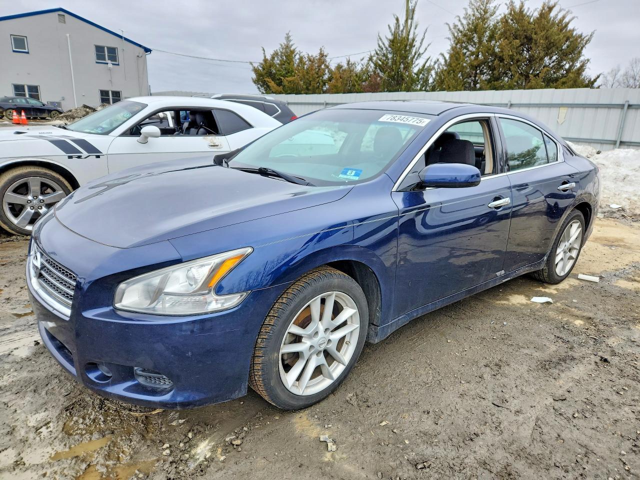 2010 NISSAN Maxima