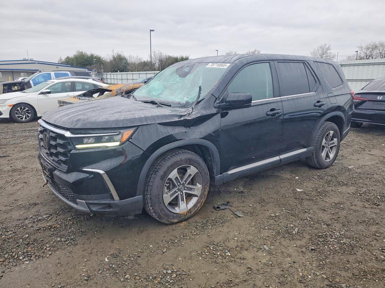 2025 HONDA PILOT