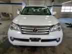 2013 LEXUS GX 460