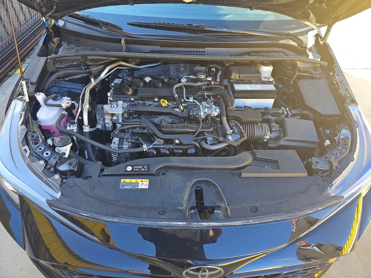 2025 TOYOTA COROLLA