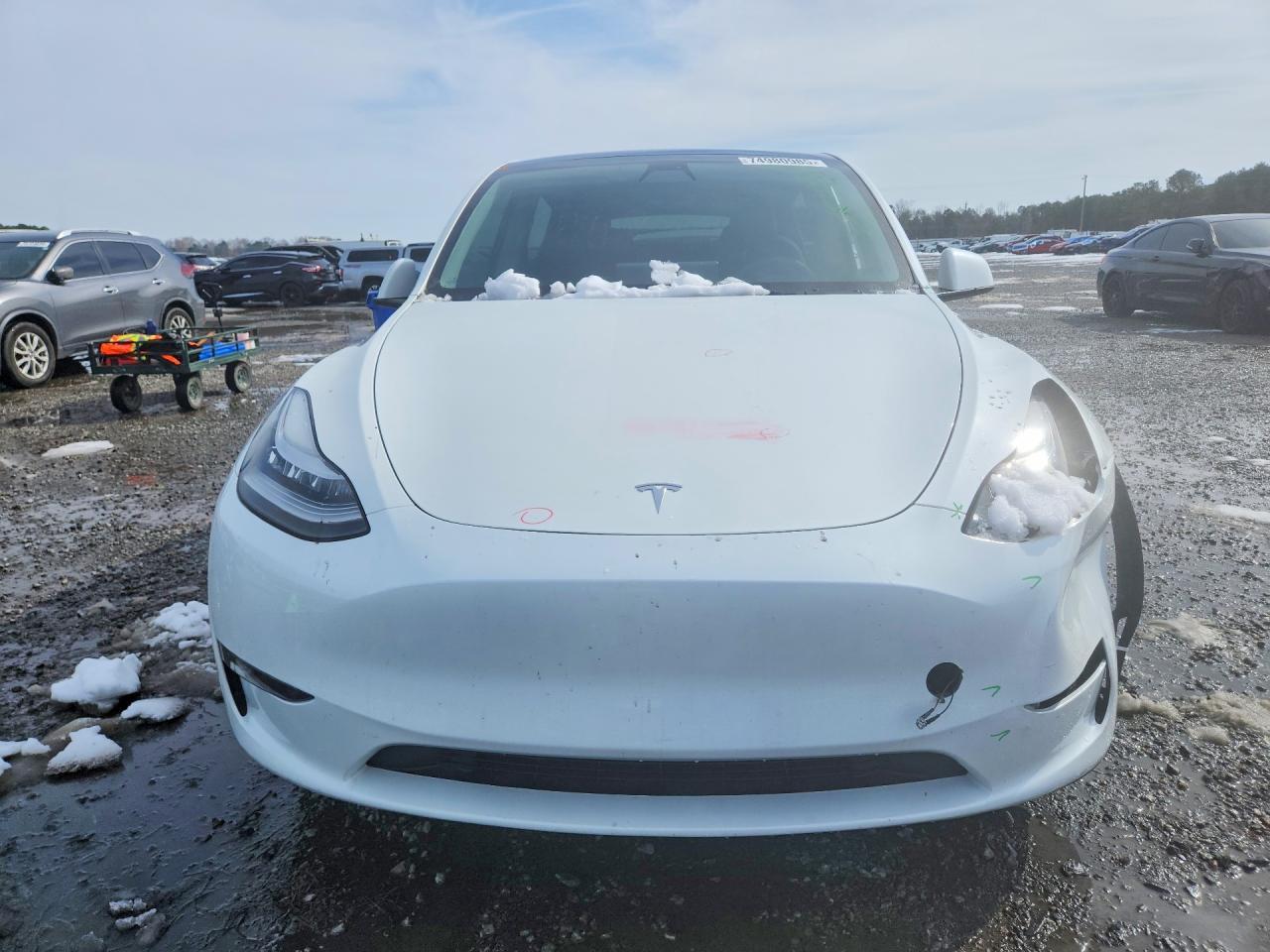 2023 TESLA MODEL Y