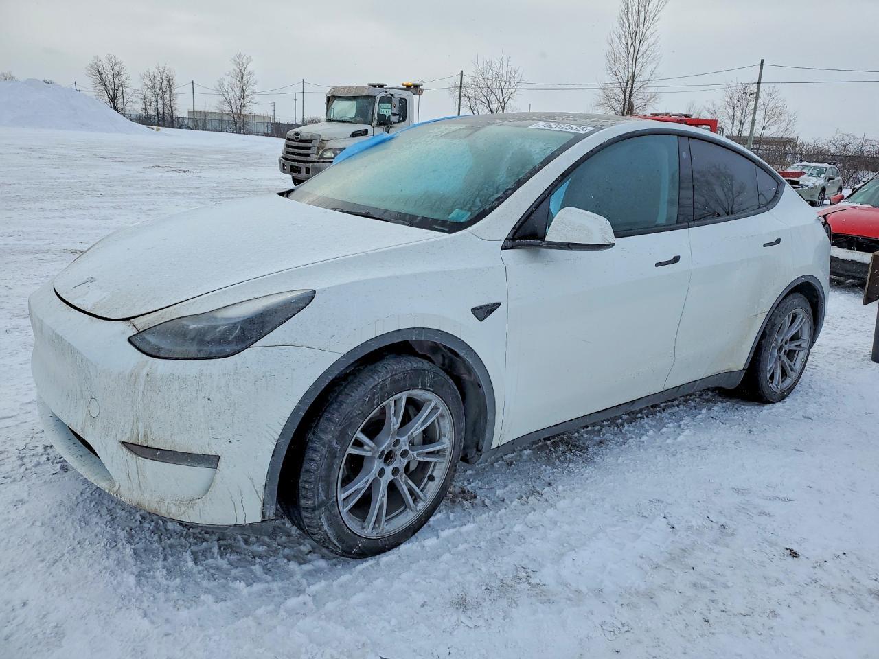 2023 TESLA MODEL Y