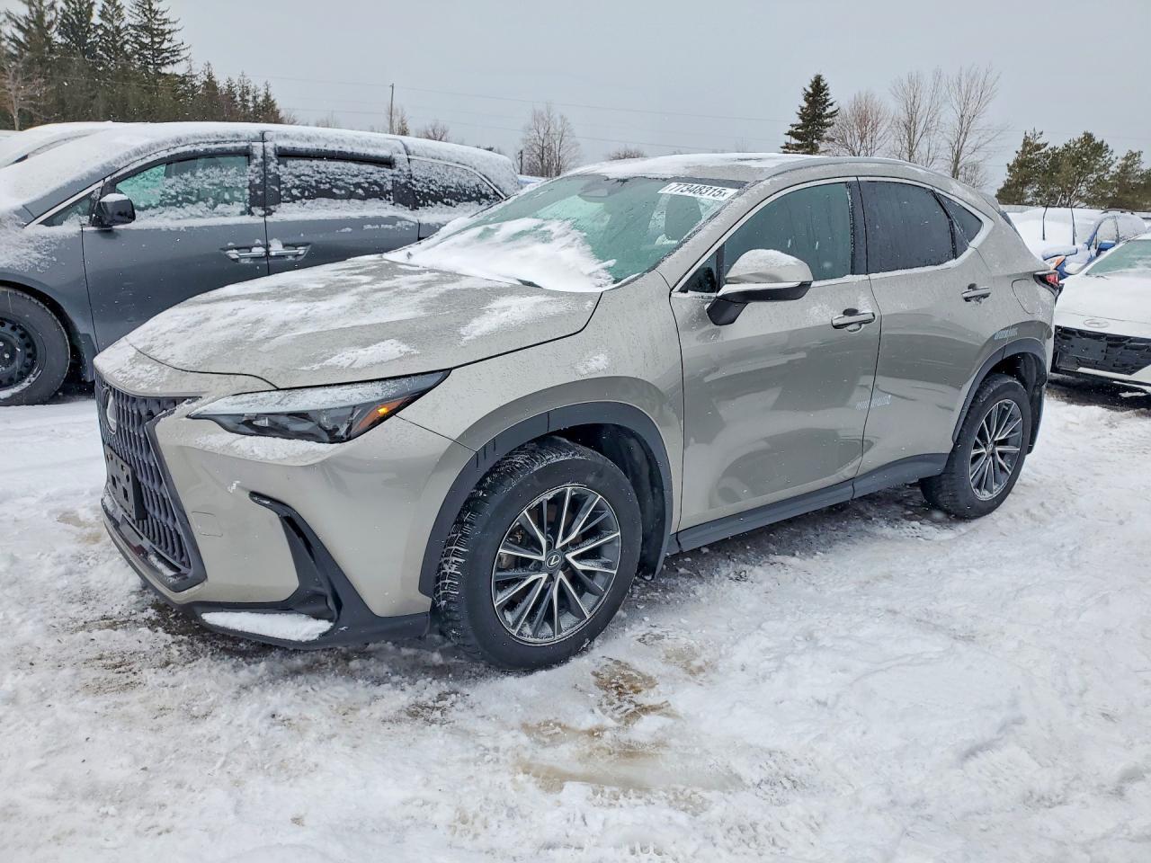 2023 LEXUS Nx