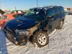 2020 TOYOTA 4Runner