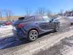 2024 LEXUS RX 350