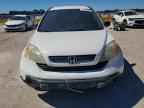 2007 HONDA CR-V
