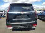 2023 CADILLAC Escalade ESV