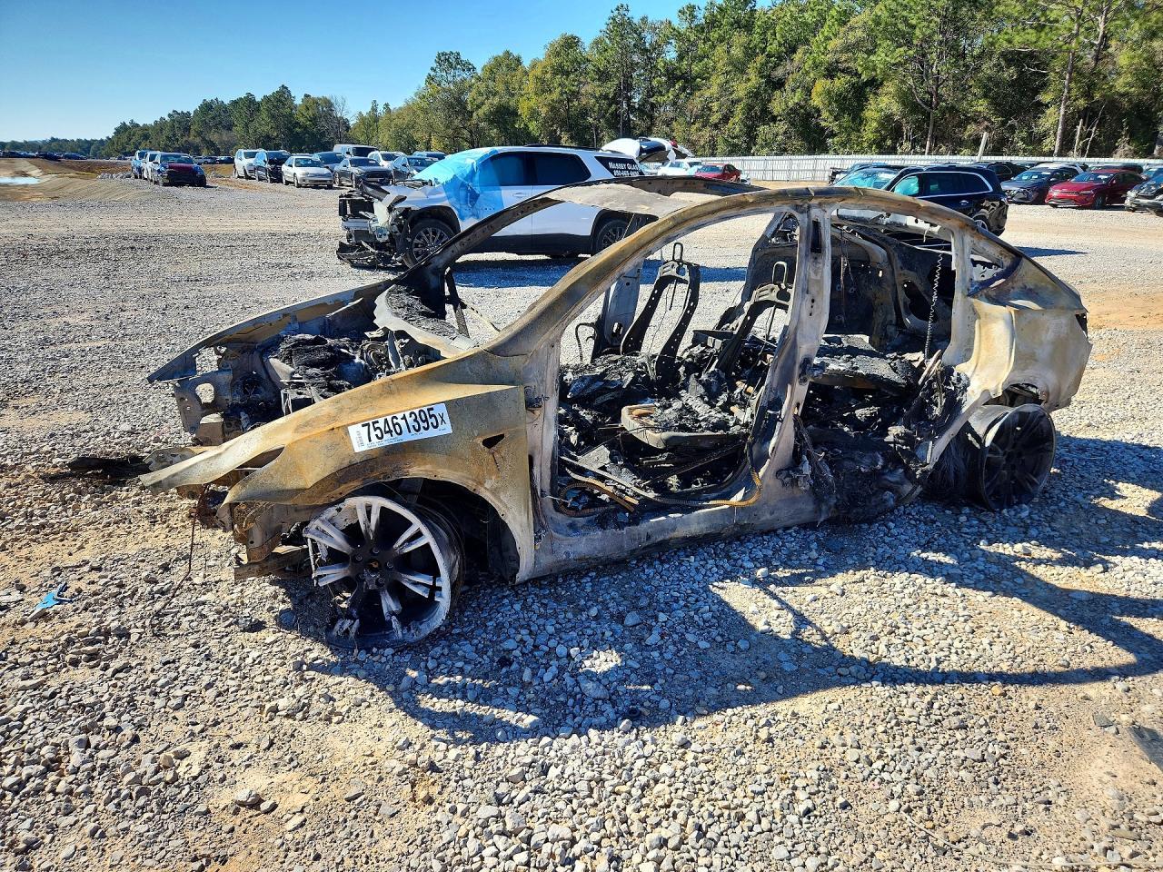 2024 TESLA MODEL Y